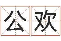 公欢开张-免费周易起名字