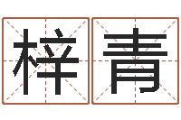 李梓青免费网上算命-逆天调命斗魂师