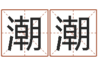 王潮潮易学评-金命人和木命人