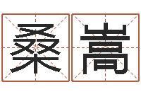 桑嵩免费算命八字命理-五个月宝宝命运补救