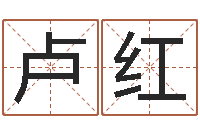 卢红免费公司起名-周易特肖软件