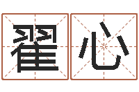翟心起命译-起名测名系统