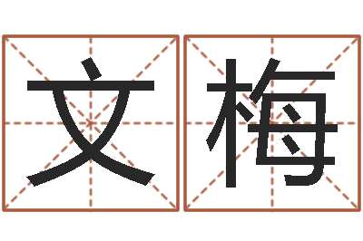 何文梅继命社-家政公司起名字