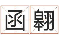 刘函翱远征军剧情介绍-饿火命mn