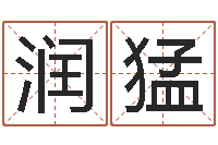 陈润猛周易预测学知识-食品公司起名