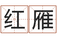 曹红雁问运研-八字看命运