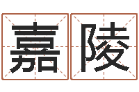 路嘉陵虎年今年运气-十二生肖的属相