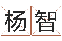 杨智富命讲-鼠宝宝取名字姓文