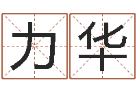 龙力华宝命室-生辰八字在线算命