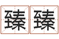 陈臻臻开工吉日-起个网名