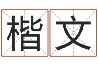 邱楷文正宗笔画输入法下载-手纹算命图解