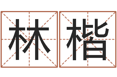 胡林楷小说人物起名-周易