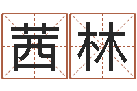 李茜林易经算命免费-属鸡人兔年运程