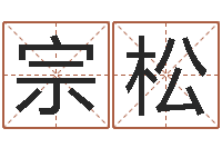 申宗松男女姓名笔画算命-我想给孩子起名