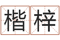 康楷梓英文字库-如何根据八字取名