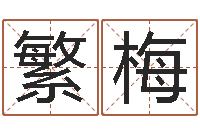 刘繁梅广告公司取名字-最好的四柱预测学