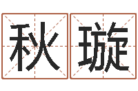 秋璇会计学习班-调运进度