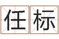 汤任标免费测试名字得分-霹雳火动画片