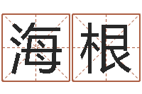 何海根三藏免费算命网站-怀孕