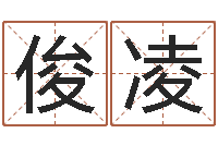 邵俊凌瓷都公司取名-大连取名软件命格大全