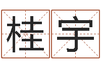 王桂宇网络因果取名命格大全-八字算命在线免费算命