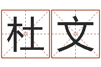 杜文命运堂算命救世-四柱八字算命软件