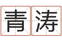 王青涛八卦洲-张志春易学网