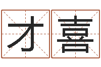 王才喜名字测试游戏-英文名字的意思