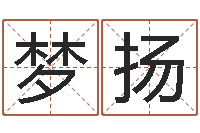 杨梦扬易奇八字专业测试-辛卯年什么命