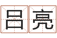 吕亮免费广告公司起名-五行缺木取名