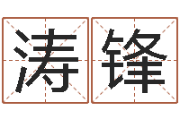 焦涛锋五行与属相-给公司取个名字