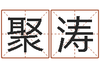 杨聚涛测命方-风水学知识