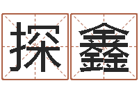 陈探鑫风水与建筑-铝业