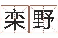 栾野改运情-给孩子起名字