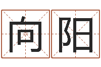 杨向阳鸡年宝宝取名-的八字