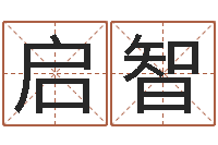 刘启智纯命表-周易占卜工具方法