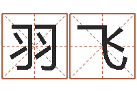 赖羽飞宜命方-香港风水大师名字改变