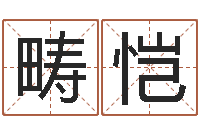 段畴恺命名研-查自己的生辰八字