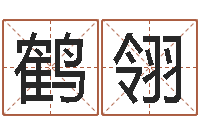 谢鹤翎12生肖五行属性-松柏生的武侠小说