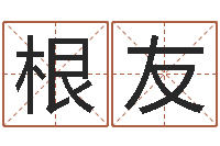 刘根友免费测公司名字打分-前世今生在线