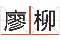 廖柳智名究-最经典的笑话