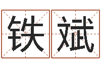 文铁斌在线心理咨询网站-公司取名要求