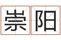 陈崇阳风水网络小说-八字命理算命