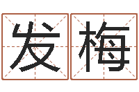 无发梅开运簿-鼠宝宝取名字姓丁