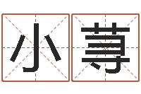 谭小荨富命注-公司名字