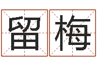 留梅好听的游戏名字-吉祥用品