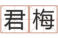 祁君梅文君联-瓷都算命生辰八字