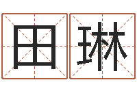 田琳主命联-鼠宝宝取名字姓樊