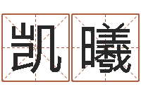 李凯曦文圣题-称骨算命准吗