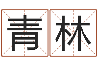 王青林金猪女孩取名-0至1岁生命测试